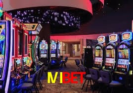Security Systems IVIBET